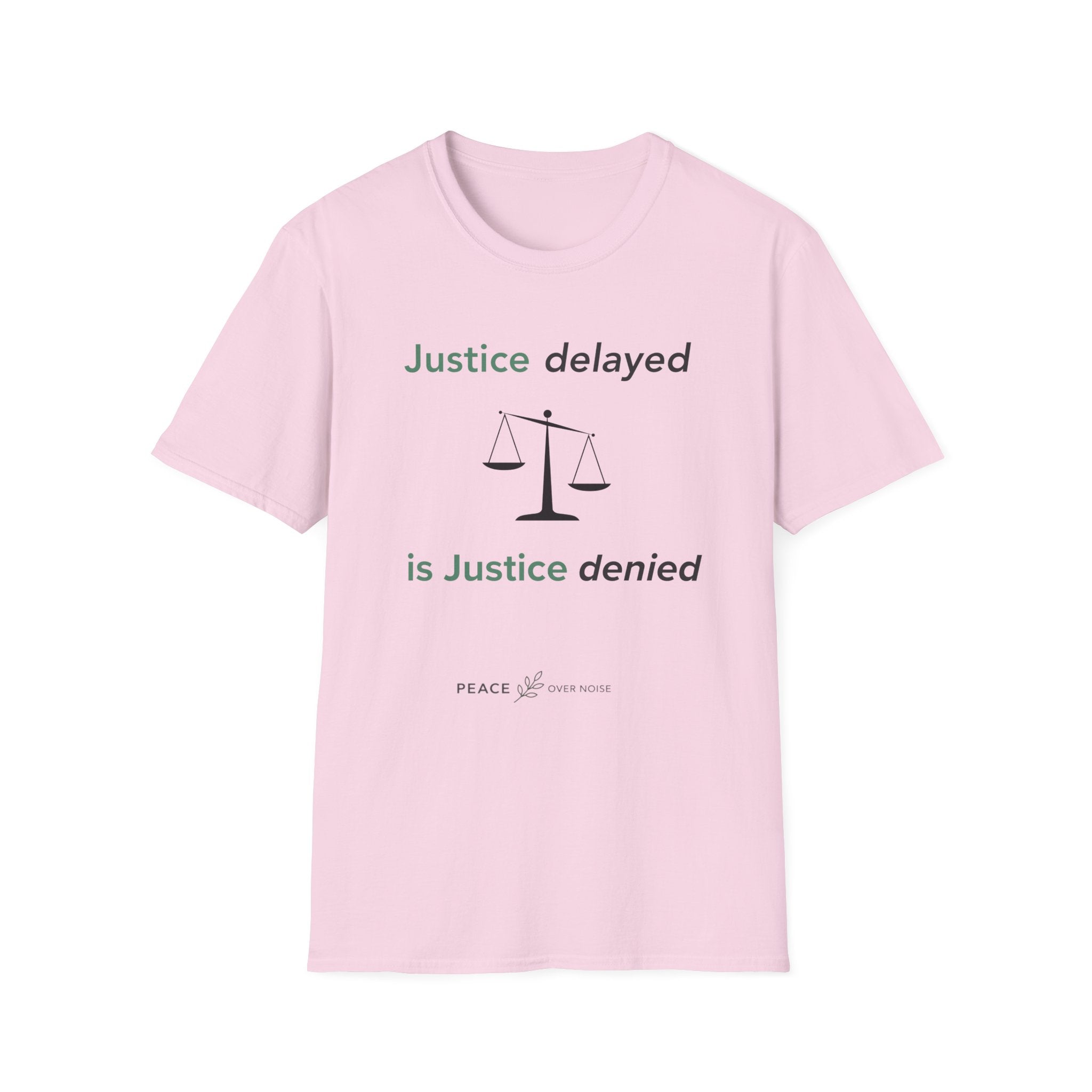 justice delayed is justice denied